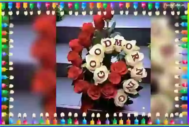 Good Morning  Whatsapp Savera Ho Gaya