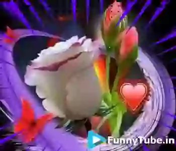 Good Morning Amazing Whatsapp Video