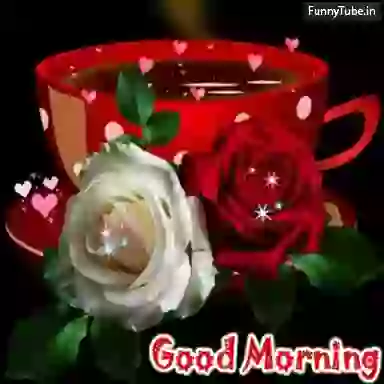 Good Morning Beautiful Animation GIF