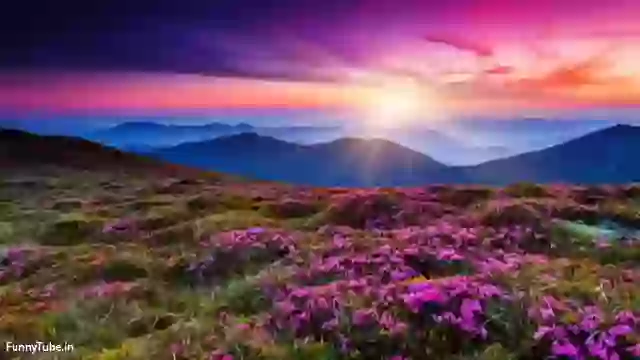 Good Morning Enjoy The Day Tamil Whatsapp Status Video