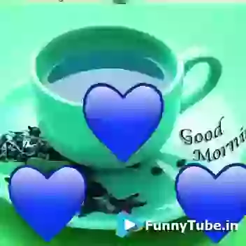 Good Morning For Love GIF