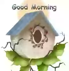 Good Morning GIF Download For Whatsapp
