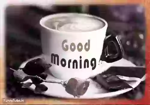 Good Morning GIF For Whatsapp Status