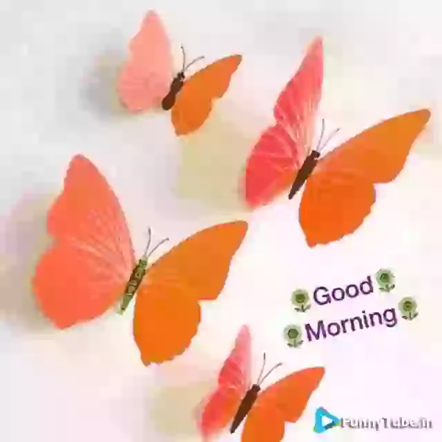 Good Morning GIF Have Colourful Day