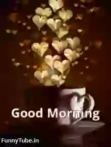Good Morning GIF Video Download For Whatsapp