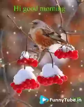 Good Morning GIF Wonderful Day