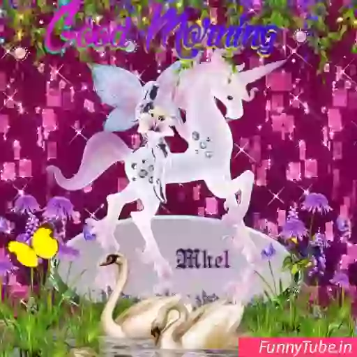 Good Morning Greeting GIF