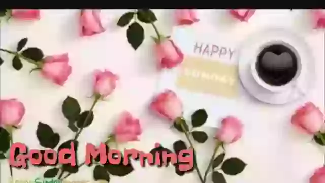 Good Morning Happy Sunday Wish Whatsapp Status Video