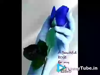 Good Morning Happy Week Ahead