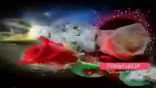 Good Morning Happy Weekend Whatsapp Status