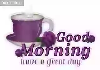 Good Morning Have A Great Day GIF