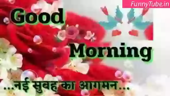 Good Morning Have A Nice Day Whatsapp Status