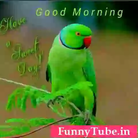 Good Morning Have A Sweet Day