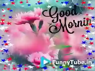 Good Morning Have Happy Day Ahead