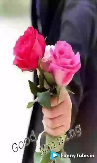 Good Morning Have Happy Weekend