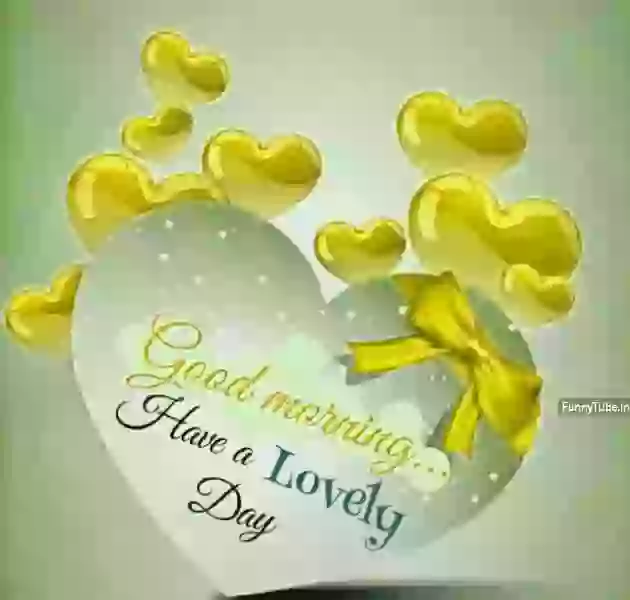 Good Morning Have Lovely Day Whatsapp Status GIF