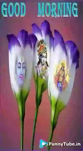 Good Morning Have a Lovely Day