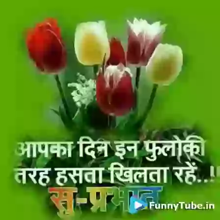 Good Morning Images GIF For Whatsapp