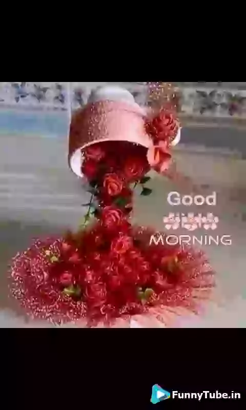 Good Morning Lovely Day Ahead