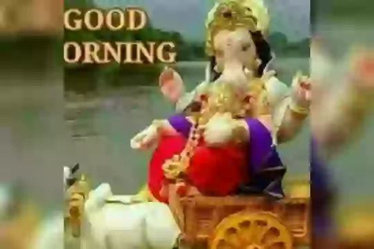 Good Morning Lovely Whatsapp Video For Starting Day