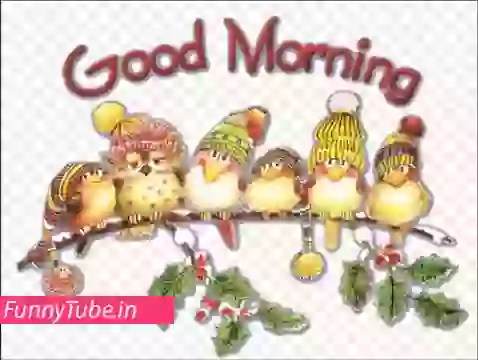 Good Morning Message In Bird Sound