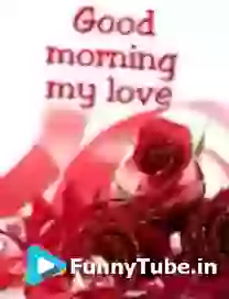 Good Morning My Love GIF Status