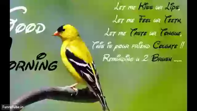 Good Morning Quotes And Images Status Video