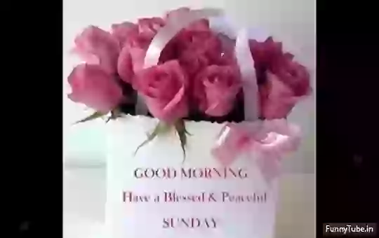 Good Morning Quotes Happy Sunday Whatsapp Status