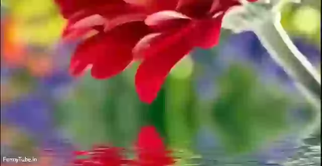 Good Morning Quotes In Hindi Happy Sunday Status