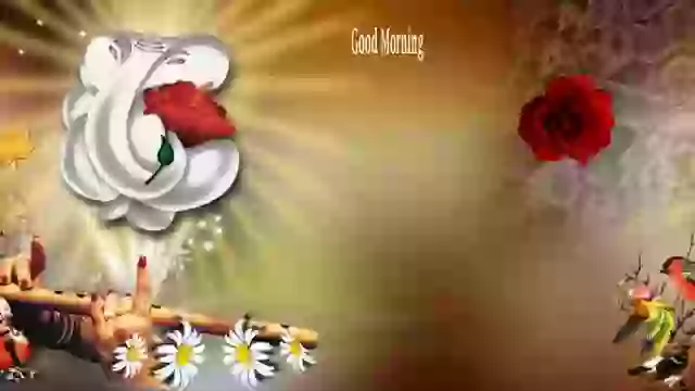 Good Morning Quotes Whatsapp Status Video