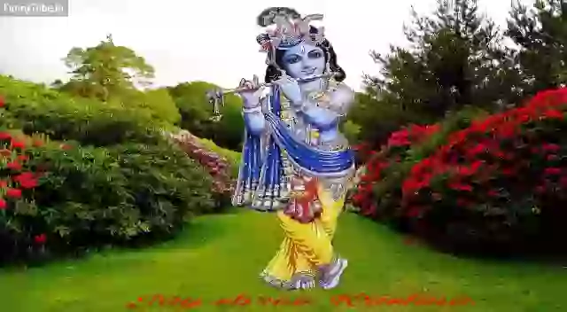 Good Morning Shree Krishna Wallpaper Whatsapp GIF