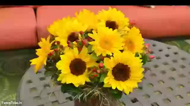 Good Morning Song Hindi Whatsapp Status