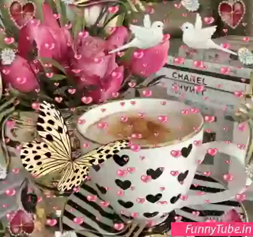 Good Morning Status GIF For Whatsapp