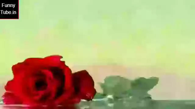 Good Morning Status Video Download