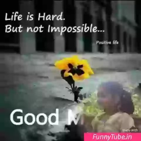 Good Morning Tamil Video For Whatsapp