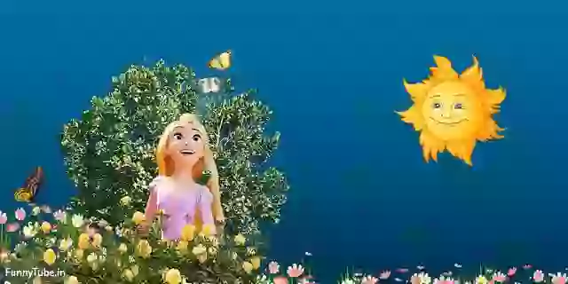 Good Morning Video Greeting Whatsapp Status