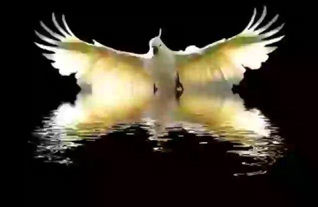 Good Morning Video Marathi