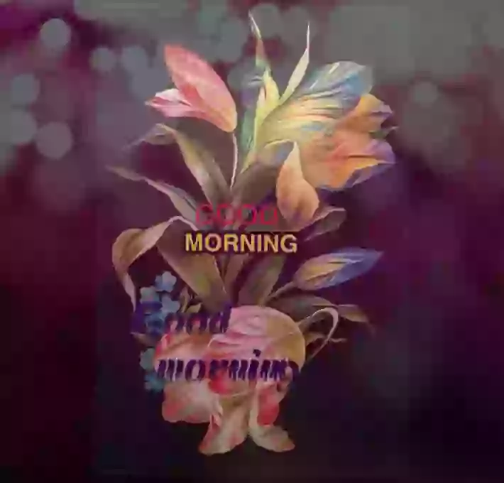 Good Morning Video Punjabi Audio
