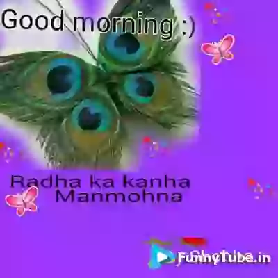 Good Morning Whatsapp Hindi Status Video