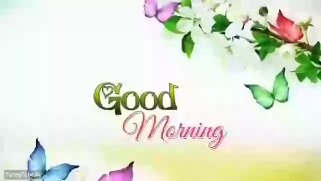 Good Morning Whatsapp Video Status Song