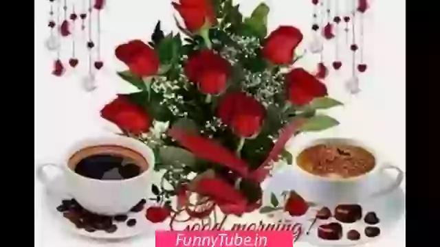 Good Morning Wish And Messages Whatsapp Video