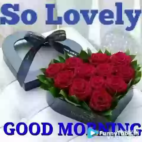 Good Morning Wish For Lovely Morning