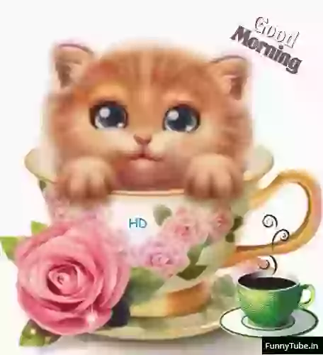 Good Morning Wish GIF Whatsapp Status Download