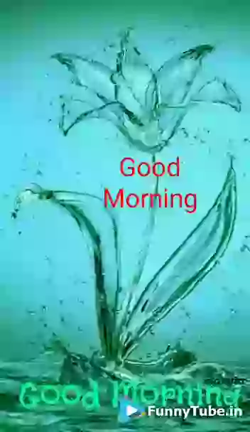 Good Morning Wish GIF