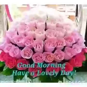 Good Morning Wish Video For Whatsapp