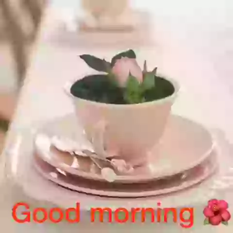 Good Morning Wish Whatsapp GIF