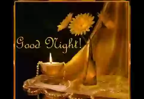 Good Night Animated Greeting And Quotes Whatsapp Status