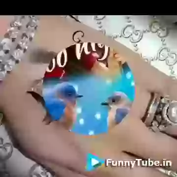 Good Night Animated Video