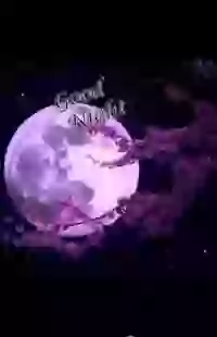 Good Night Best Full Screen Whatsapp Status 2018