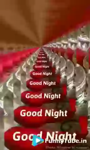 Good Night Everyone GIF